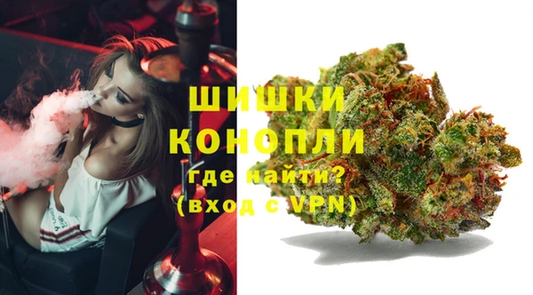 spice Богданович